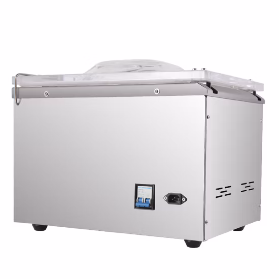 Dingli Household Vacuum Heat Sealer Packing Commercial Dzb-260 Vacuum Packaging Machine